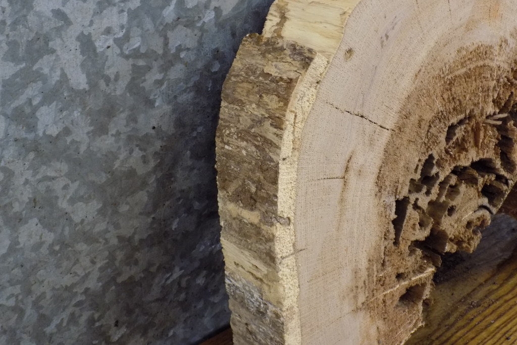 Live Edge White Oak Round Cut Epoxy Project Slab CLOSEOUT 6543