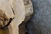 Thumbnail for Live Edge White Oak Round Cut Epoxy Project Slab CLOSEOUT 6543