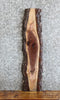 Thumbnail for Live Edge Black Walnut Side Table Top/Wall Shelf 654