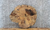 Thumbnail for Live Edge Maple Circle Cut Slab, Wood Tree Slice Epoxy Project 6553