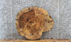 Thumbnail for Live Edge Maple Circle Cut Slab, Wood Tree Slice Epoxy Project 6553