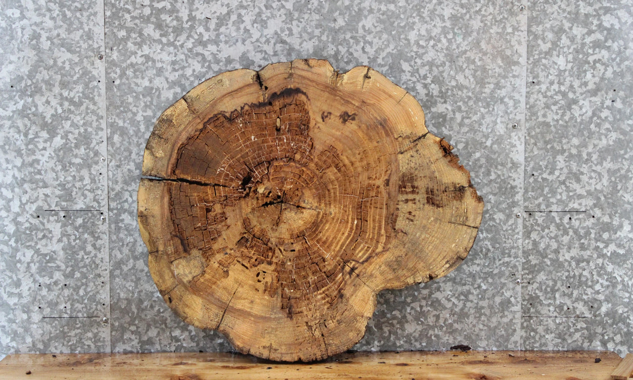 Live Edge Maple Circle Cut Slab, Wood Tree Slice Epoxy Project 6553