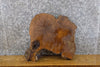 Thumbnail for Live Edge Round Cut White Oak DIY Charcuterie Board/Slab 6587