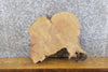 Thumbnail for Live Edge Round Cut White Oak DIY Charcuterie Board/Slab 6587
