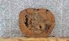 Thumbnail for Live Edge Elm Slab, Circle Cut Wood Tree Slice, Epoxy Project 6590