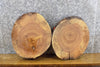 Thumbnail for 2- Rustic Round Cut Live Edge Ash Clock Plaque Wood Slabs 6665-6666