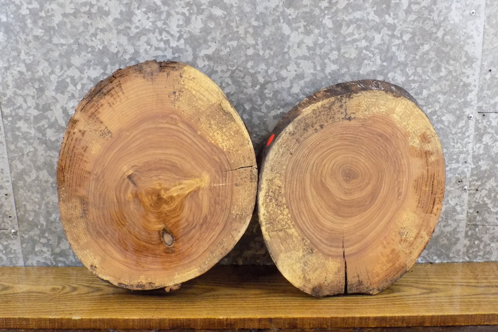 2- Rustic Round Cut Live Edge Ash Clock Plaque Wood Slabs 6665-6666