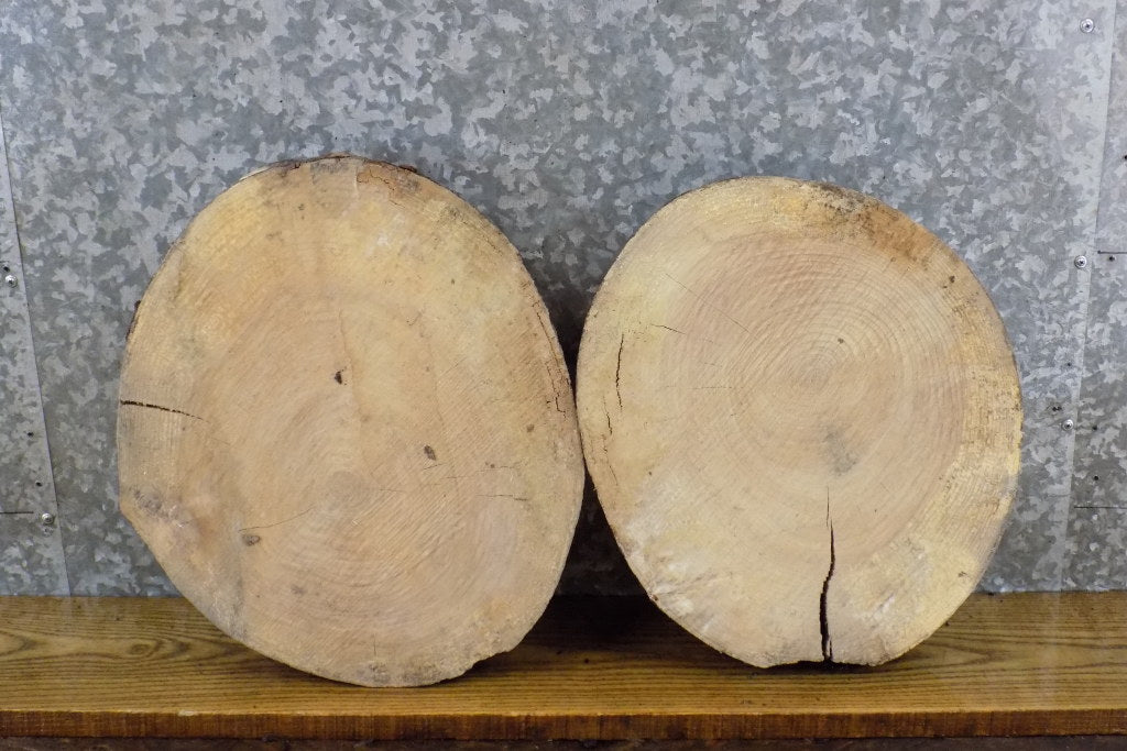 2- Rustic Round Cut Live Edge Ash Clock Plaque Wood Slabs 6665-6666