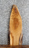 Thumbnail for Live Edge White Oak Sofa/Side Table Top Slab 668