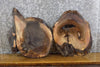 Thumbnail for 2- Rustic Round Cut Live Edge Black Walnut Epoxy Project Slabs 6761-6762