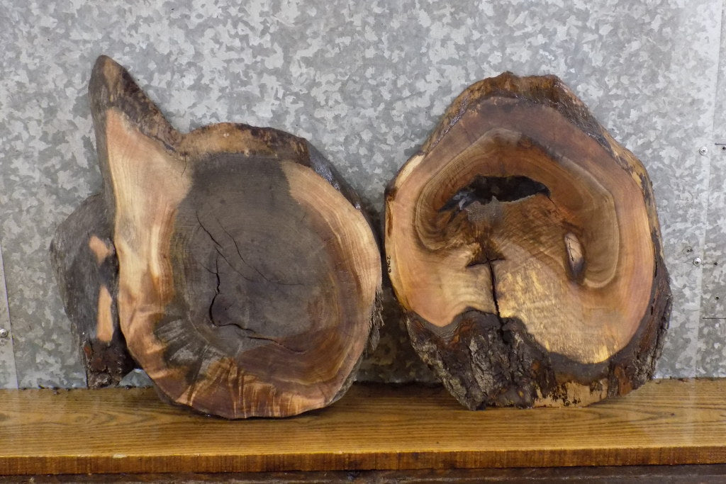 2- Rustic Round Cut Live Edge Black Walnut Epoxy Project Slabs 6761-6762