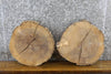 Thumbnail for 2- Reclaimed Live Edge Round Cut Ash Craft Pack Slabs 6781-6782