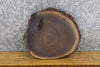 Thumbnail for DIY Live Edge Black Walnut Round Cut Charcuterie Board/Slab 6806