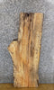 Thumbnail for Live Edge Spalted Hackberry Salvaged Sofa/Coffee Table Top Sla 683