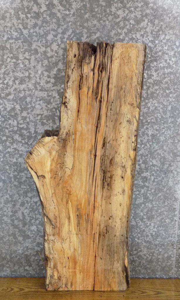 Live Edge Spalted Hackberry Salvaged Sofa/Coffee Table Top Sla 683