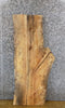 Thumbnail for Live Edge Spalted Hackberry Salvaged Sofa/Coffee Table Top Sla 683