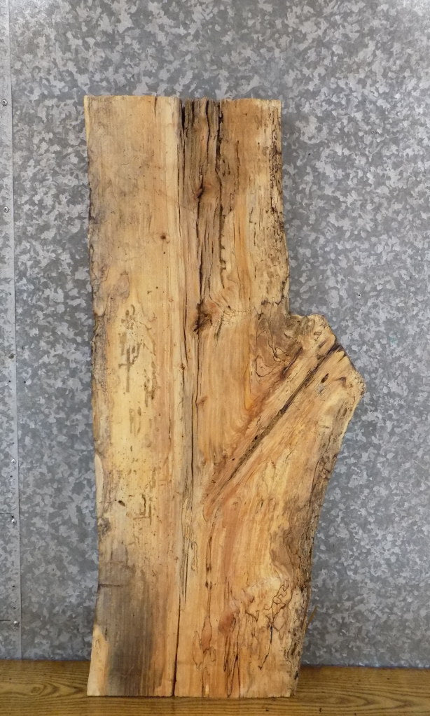 Live Edge Spalted Hackberry Salvaged Sofa/Coffee Table Top Sla 683