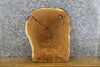 Thumbnail for White Oak Natural Edge Round Cut Rustic End Table Top Slab 6885