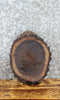 Thumbnail for Live Edge Black Walnut Round Cut Tree Slice/Charcuterie Board 6890
