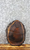 Thumbnail for Live Edge Black Walnut Round Cut Tree Slice/Charcuterie Board 6890