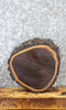 Thumbnail for Live Edge Black Walnut Round Cut Tree Slice/Charcuterie Board 6900