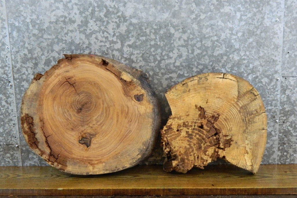 2- Reclaimed Round Cut Live Edge Ash Craft Wood Slabs 6923-6924