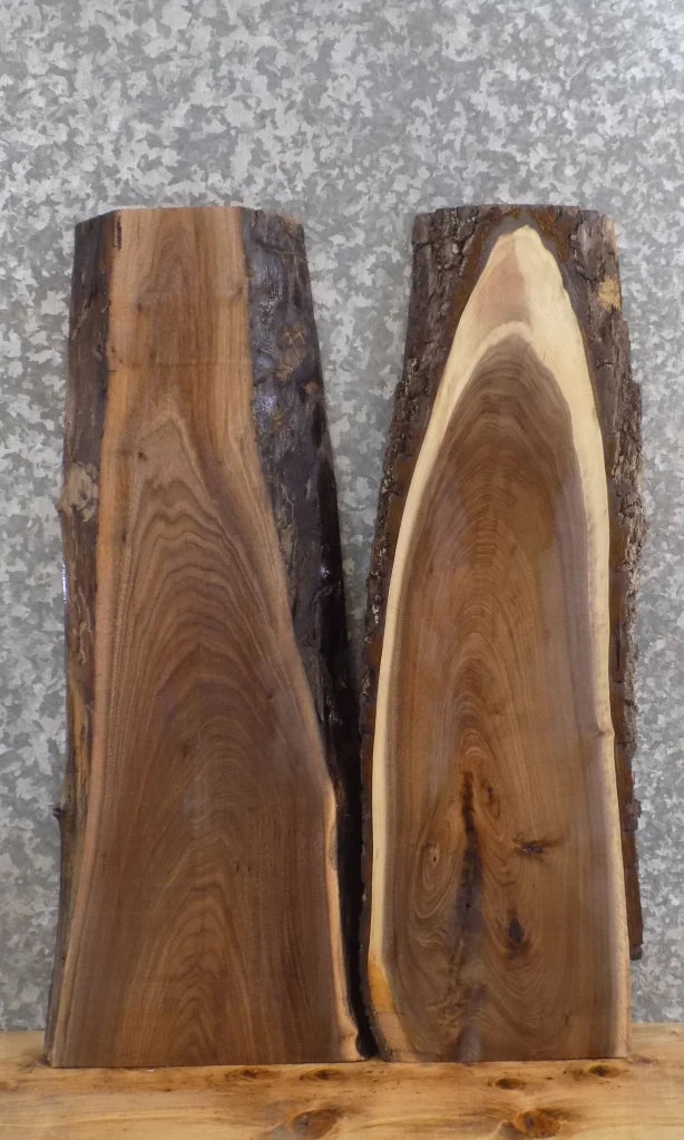 2- Live Edge Black Walnut End/Accent/Coffee Table Top Slabs 7004-7005