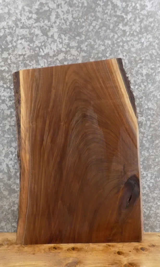 Live Edge Black Walnut End/Accent/Coffee Table Top Slab 7012