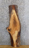 Thumbnail for Live Edge Reclaimed White Oak Accent/Side Table Top Slab 7013