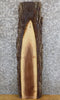 Thumbnail for Live Edge Bark Black Walnut Rustic Floating Vanity Slab 7016