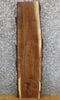Thumbnail for Live Edge Bark Black Walnut Rustic Floating Vanity Slab 7016