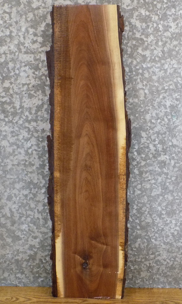 Live Edge Bark Black Walnut Rustic Floating Vanity Slab 7016