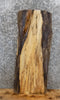Thumbnail for Live Edge Spalted Maple End/Accent/Coffee Table Top Slab 7023