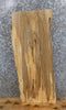 Thumbnail for Live Edge Spalted Maple End/Accent/Coffee Table Top Slab 7023