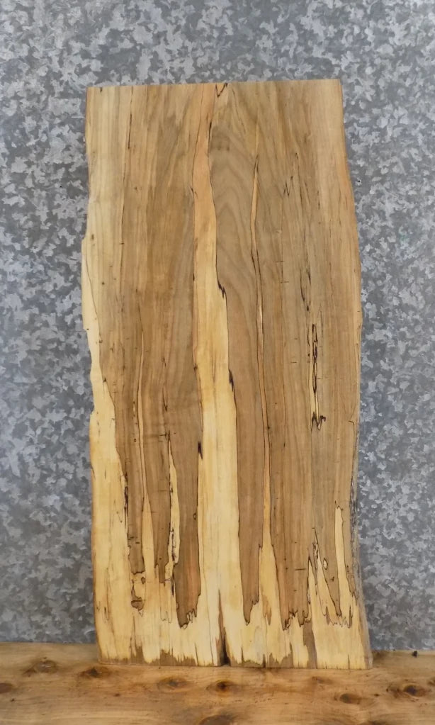 Live Edge Spalted Maple Accent/End/Coffee Table Top Slab 7026