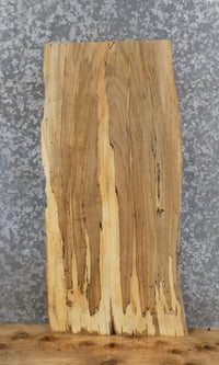 Thumbnail for Live Edge Spalted Maple Accent/End/Coffee Table Top Slab 7026