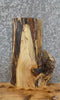 Thumbnail for Live Edge Spalted Maple Epoxy Project/End Table Top Slab 7029
