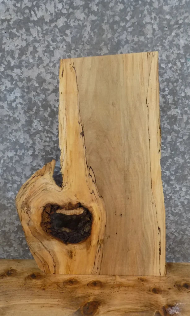 Live Edge Spalted Maple Epoxy Project/End Table Top Slab 7029