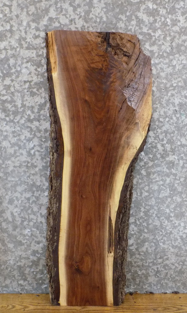 Black Walnut Salvaged Live Edge Bark Accent Table Top Slab 7030