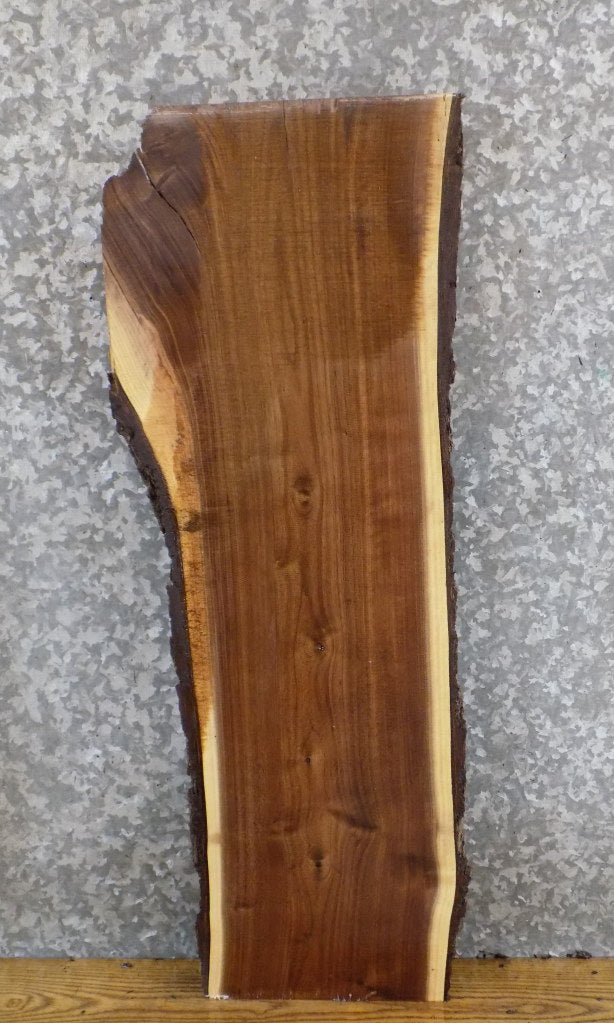 Black Walnut Salvaged Live Edge Bark Accent Table Top Slab 7030