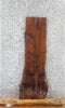 Thumbnail for Walnut Live Edge Charcuterie/Shelf Slab 703