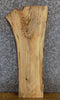 Thumbnail for Live Edge Salvaged Hackberry Accent/Sofa Table Top Slab 7046