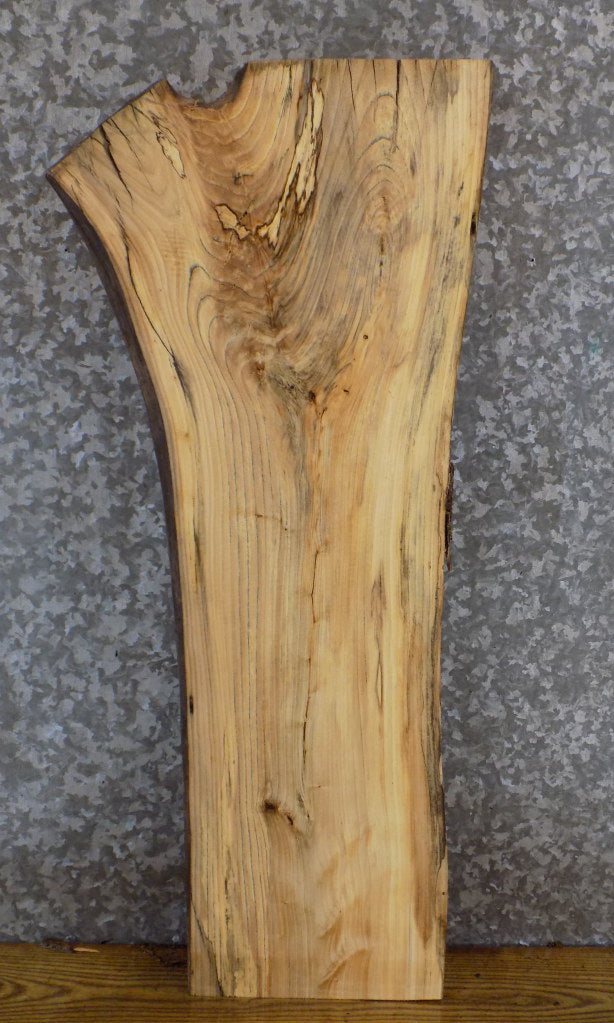 Live Edge Salvaged Hackberry Accent/Sofa Table Top Slab 7046
