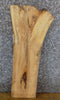 Thumbnail for Live Edge Salvaged Hackberry Accent/Sofa Table Top Slab 7046