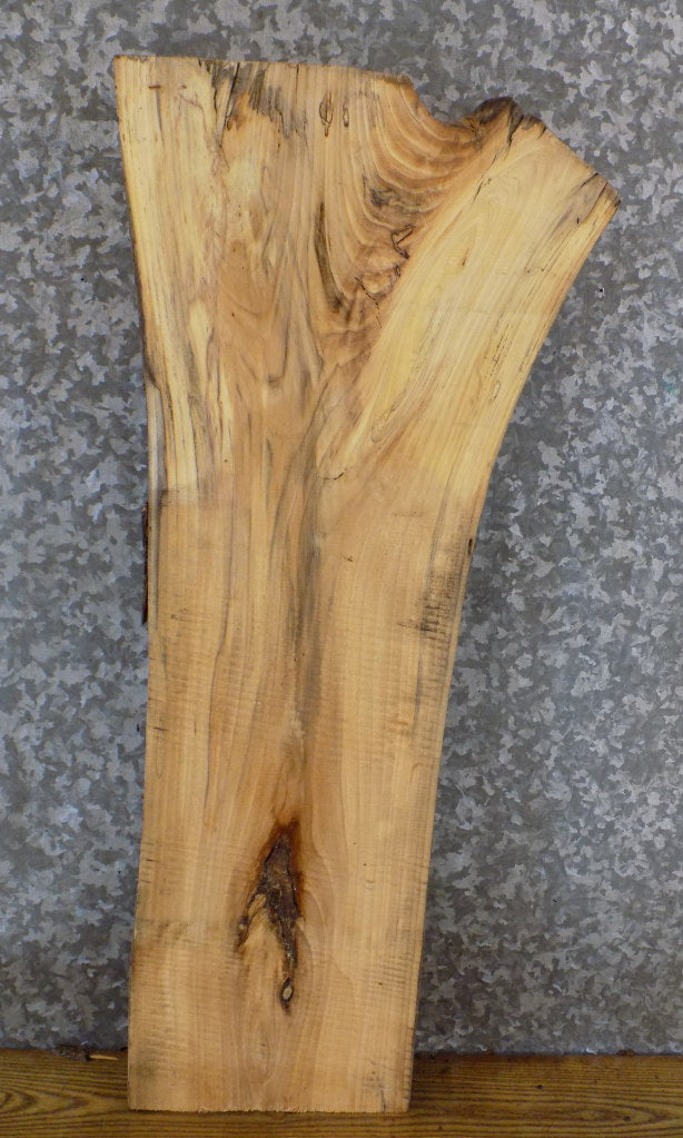 Live Edge Salvaged Hackberry Accent/Sofa Table Top Slab 7046