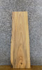 Thumbnail for Natural Edge Elm Reclaimed Side/Coffee Table Top Slab 7047