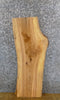 Thumbnail for Salvaged Natural Edge Ash Side/Accent Table Top Slab 7066