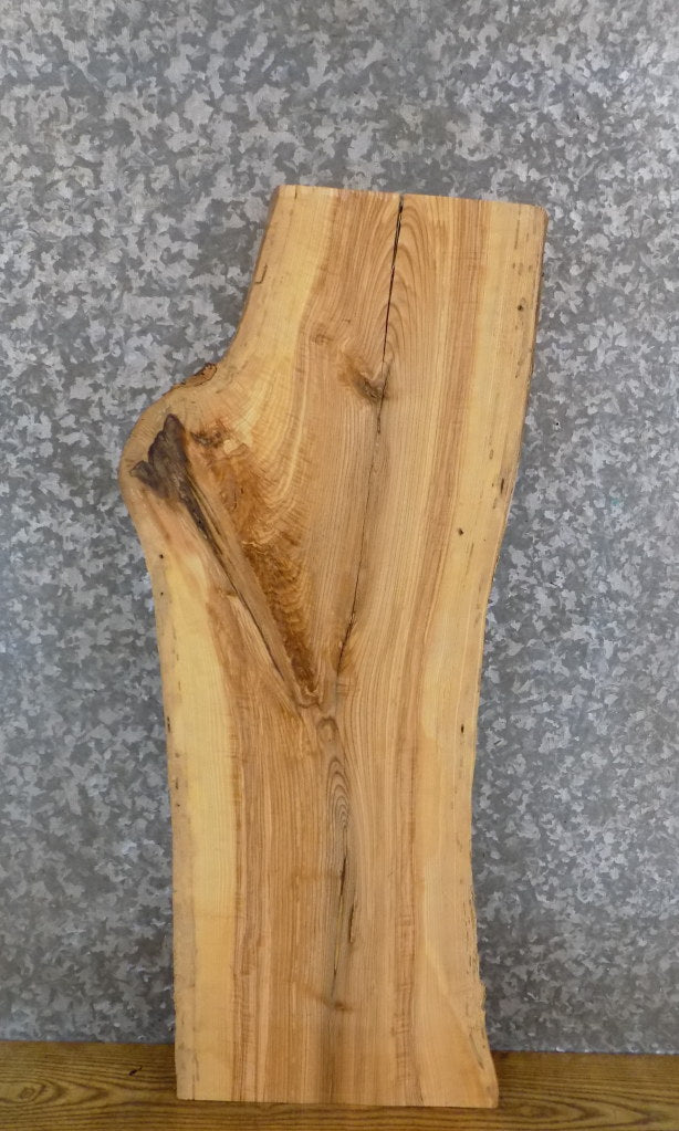 Salvaged Natural Edge Ash Side/Accent Table Top Slab 7066