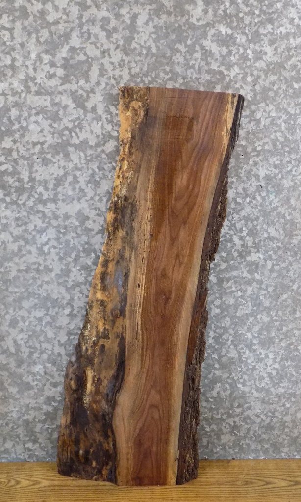 Live Edge Salvaged Black Walnut Entry/Side Table Top Slab 7069