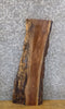 Thumbnail for Live Edge Salvaged Black Walnut Entry/Side Table Top Slab 7069